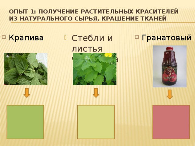 Опыт 1: Получение растительных красителей из натурального сырья, крашение тканей Крапива Гранатовый сок Стебли и листья чистотела 