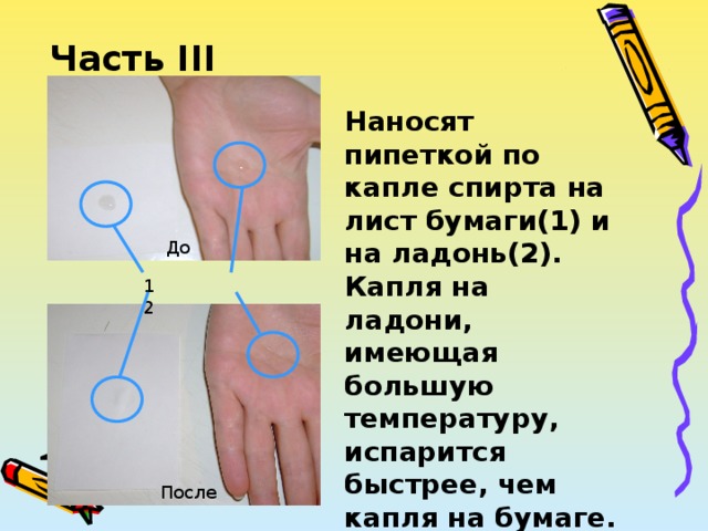 Испарится быстрее. Пипеткой нанесите по капле воды на лист бумаги и на свою ладонь. Нанесите пипеткой на лист бумаги по капле воды и спирта. Какая капля воды испарится быстрее с ладони или с листа бумаги. Какая капля быстрее испарится воды площадь.