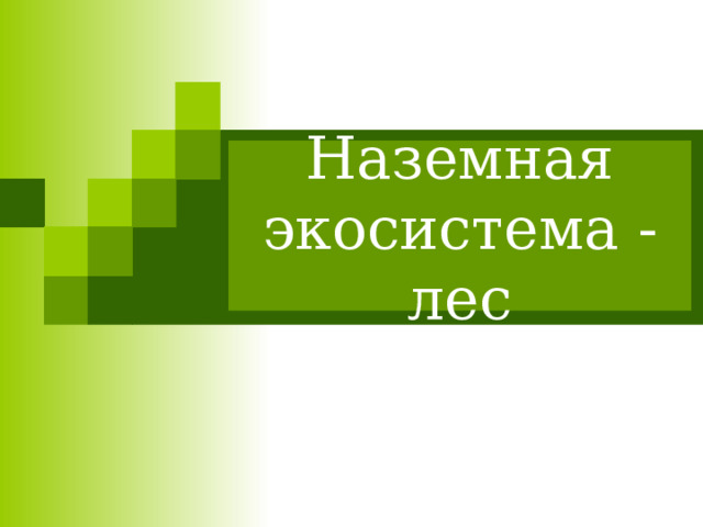 Наземная экосистема лес презентация