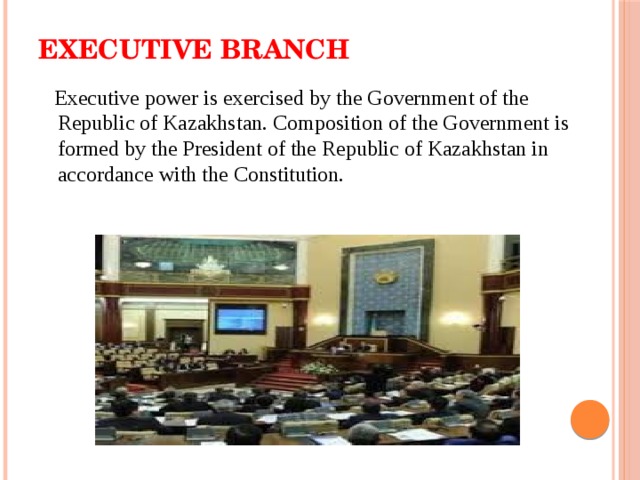 Executive branch    Executive power is exercised by the Government of the Republic of Kazakhstan. Composition of the Government is formed by the President of the Republic of Kazakhstan in accordance with the Constitution. 