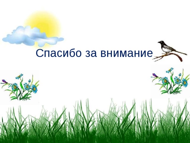 Спасибо за внимание 