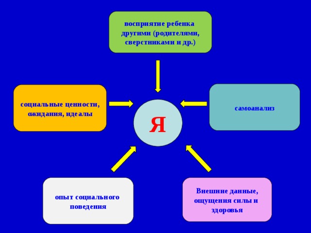 восприятие ребенка другими (родителями, сверстниками и др.) социальные ценности, ожидания, идеалы самоанализ опыт социального поведения Внешние данные, ощущения силы и здоровья Я 