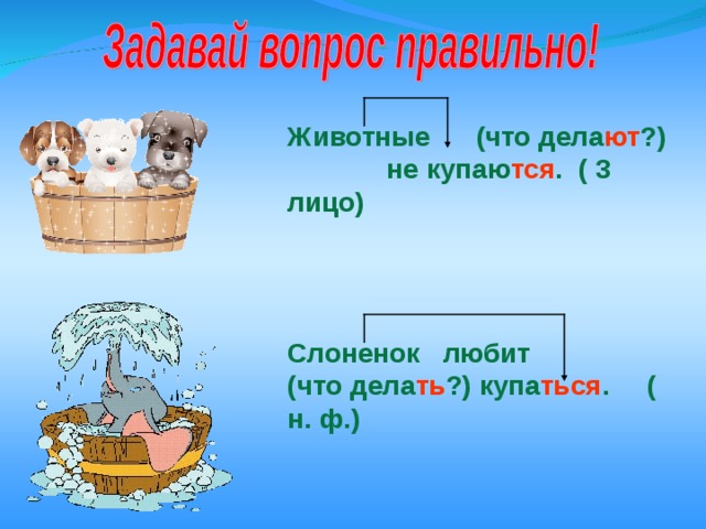 Животные (что дела ют ?) не купаю тся . ( 3 лицо) Слоненок любит (что дела ть ?) купа ться . ( н. ф.) 