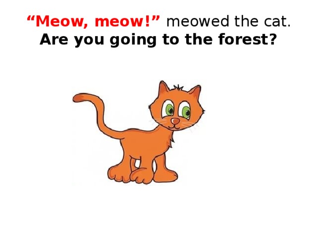 “ Meow, meow!” meowed the cat.  Are you going to the forest? 