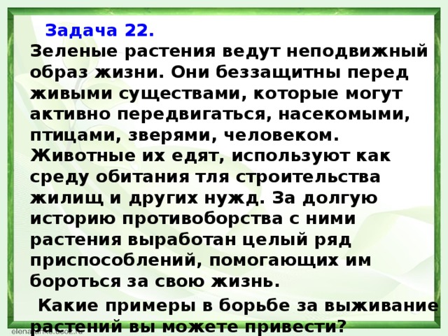 Зеленые задачи. Задачи зеленые. Какой образ жизни ведут растения. Животные которые ведут неподвижный образ жизни. Растение почти всегда ведут неподвижный образ жизни.