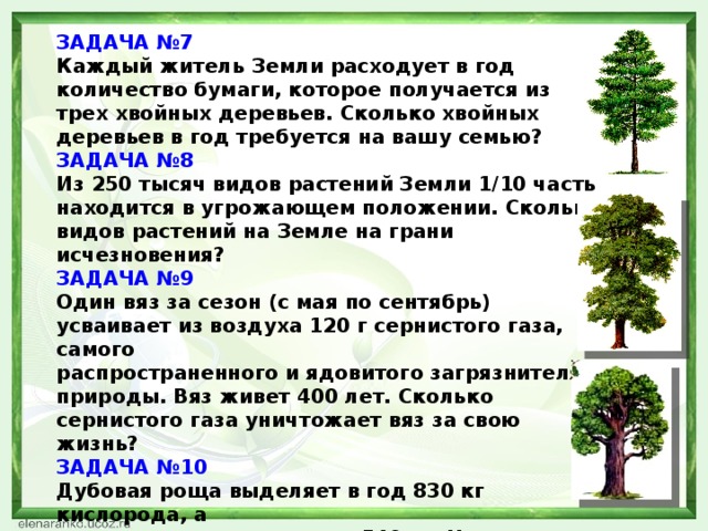 Число хвойных. Сколько деревьев в России. Сколько уходит древесины на бумагу. Сколько нужно деревьев на пачку бумаги. Сколько бумаги получается из одного дерева.