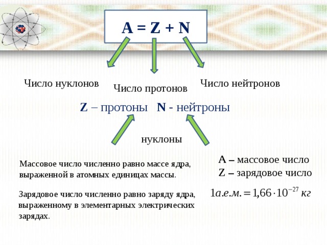 A = Z + N Число нуклонов Число нейтронов Число протонов Z – протоны N - нейтроны нуклоны А – массовое число Z – зарядовое число Массовое число численно равно массе ядра, выраженной в атомных единицах массы. Зарядовое число численно равно заряду ядра, выраженному в элементарных электрических зарядах. 