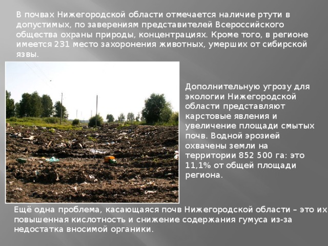 Экология региона нижегородской. Загрязнение почвы в Нижегородской области. Экологические проблемы Нижегородской области.