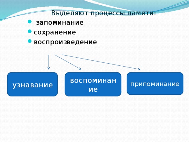 Лес хлеб окно стул брат вода конь гриб игла мед