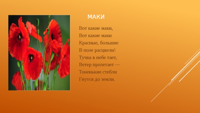 Мак текст. Стихотворение про цветок Мак. Стихи о маке цветке. Стишок про Мак красный. Стихи о маках короткие красивые.