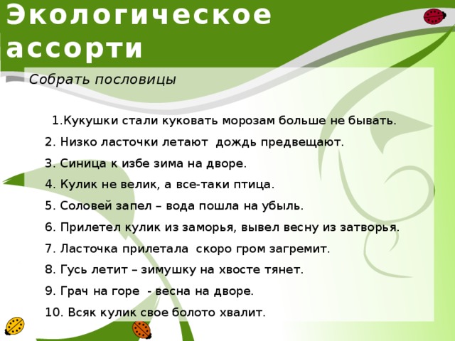 Загадки по экологии для дошкольников в картинках