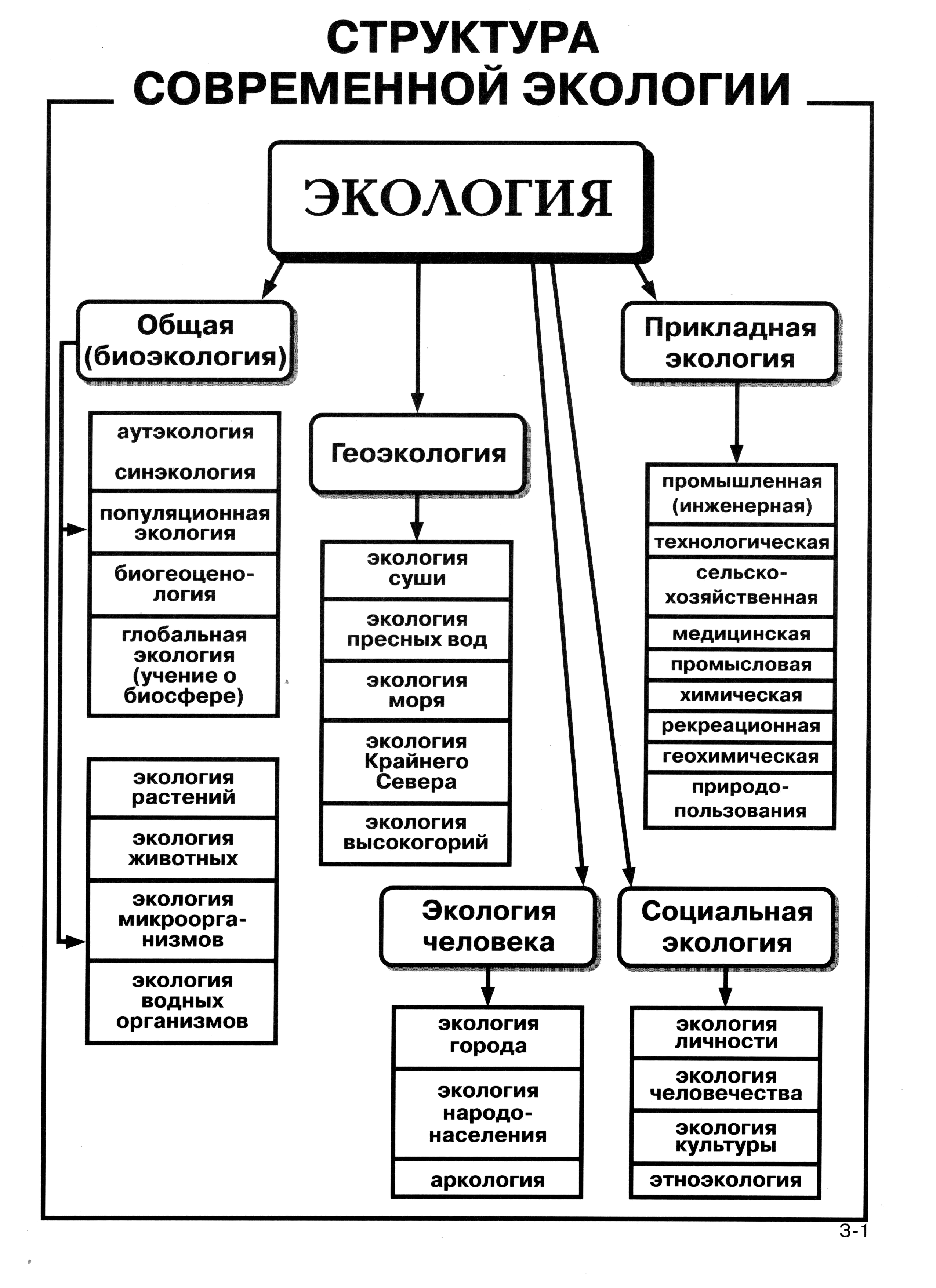 Разделы экологии социальная экология. Структура экологии схема. Структура современной экологии. Структура экологического знания схема. Логическая схема структура современной экологии.