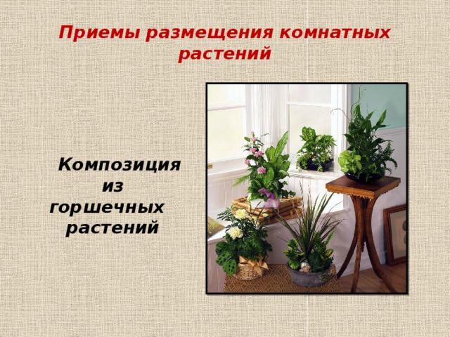 оформление интерьера комнатными растениями 7 класс технология кратко