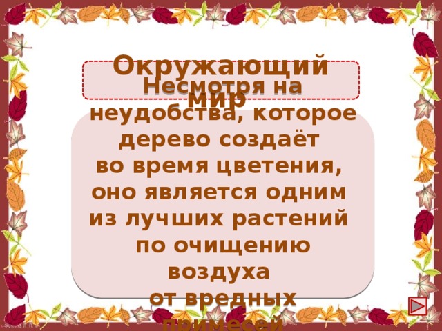 Ваня разложил камешки на столе на расстоянии 2 см