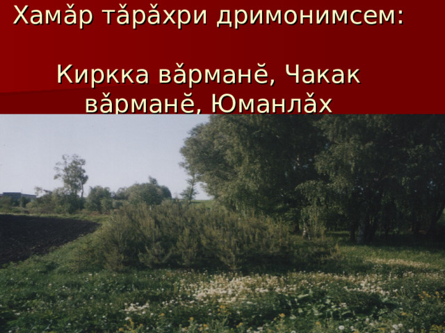   Хам ǎ р т ǎ р ǎ хри дримонимсем:   Киркка в ǎ рман ĕ , Чакак в ǎ рман ĕ , Юманл ǎ х   