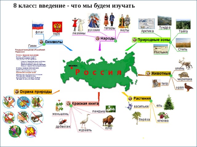 8 класс: введение - что мы будем изучать Акция «Птицы родного края» - 2 этап «Скворец» 8 апреля 2014г. обучающиеся 6 А класса вывешивают в парке Победы скворечники 