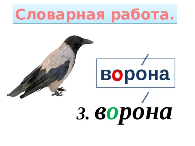 Работа ворона. Словарная работа ворона. Словарное слово ворона в картинках. Ворона словарное слово 1 класс. Работа над словарным словом ворона.