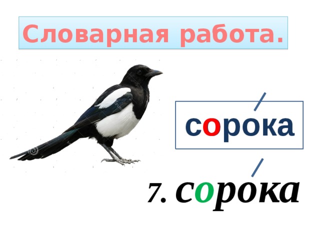 Словарная работа. сорока о 7. с о рока 