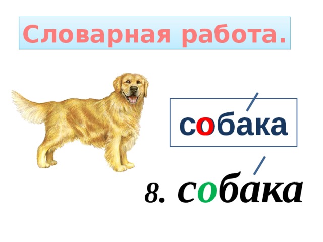 Слово собачий. Словарное слово собака в картинках. Словарная работа собака. Собака словарное слово 1 класс. Соба́ка словарное слово.