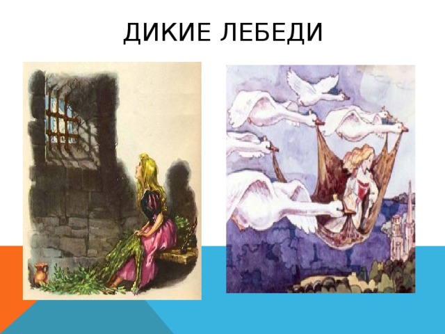 Дикие Лебеди 