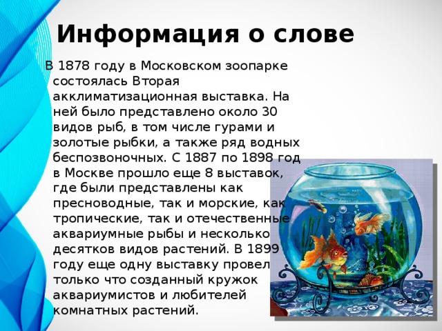 Информация о слове В 1878 году в Московском зоопарке состоялась Вторая акклиматизационная выставка. На ней было представлено около 30 видов рыб, в том числе гурами и золотые рыбки, а также ряд водных беспозвоночных. С 1887 по 1898 год в Москве прошло еще 8 выставок, где были представлены как пресноводные, так и морские, как тропические, так и отечественные аквариумные рыбы и несколько десятков видов растений. В 1899 году еще одну выставку провел только что созданный кружок аквариумистов и любителей комнатных растений.   