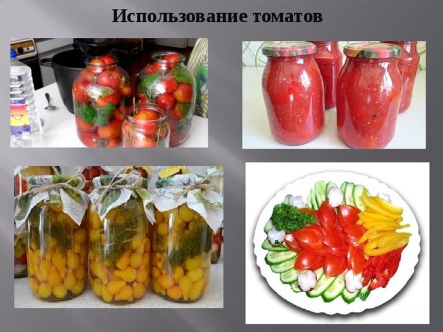 Томатов как пользоваться. Использование томатов. Применение томата. Применение помидор. Использование томатов человеком.