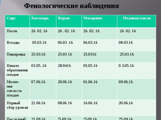 Фенологический дневник 5 класс образец по географии