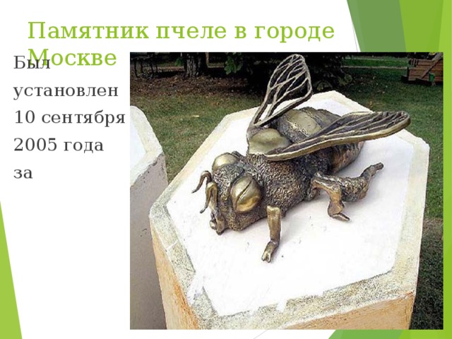 Памятник пчеле в городе Москве Был установлен 10 сентября 2005 года за 