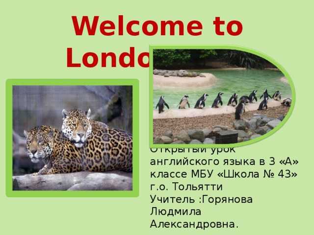 Welcome to London Zoo! Открытый урок английского языка в 3 «А» классе МБУ «Школа № 43» г.о. Тольятти  Учитель :Горянова Людмила Александровна. 