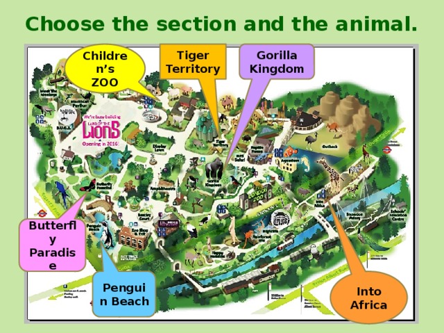 Choose the section and the animal. Gorilla Kingdom Tiger Territory Children’s ZOO Butterfly Paradise Penguin Beach Into Africa 