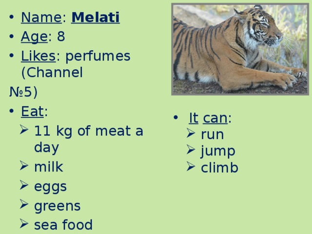 Name : Melati Age : 8 Likes : perfumes (Channel № 5) Eat : 11 kg of meat a day milk eggs greens sea food It  can : run jump climb 