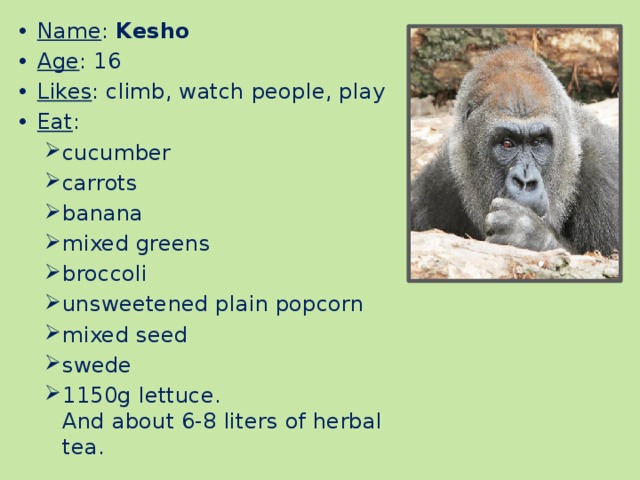 Name : Kesho Age : 16 Likes : climb, watch people, play Eat : cucumber carrots banana mixed greens broccoli unsweetened plain popcorn mixed seed swede 1150g lettuce.  And about 6-8 liters of herbal tea. 