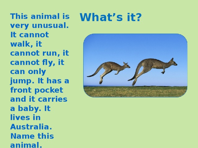 What’s it? This animal is very unusual. It cannot walk, it cannot run, it cannot fly, it can only jump. It has a front pocket and it carries a baby. It lives in Australia. Name this animal. 