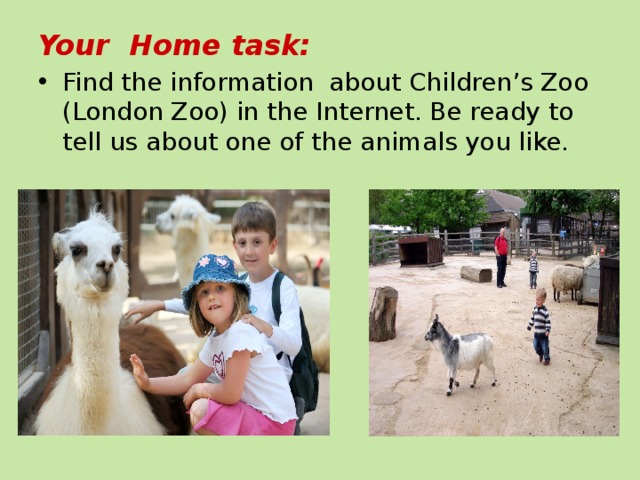 Your Home task: Find the information about Children’s Zoo (London Zoo) in the Internet. Be ready to tell us about one of the animals you like. 