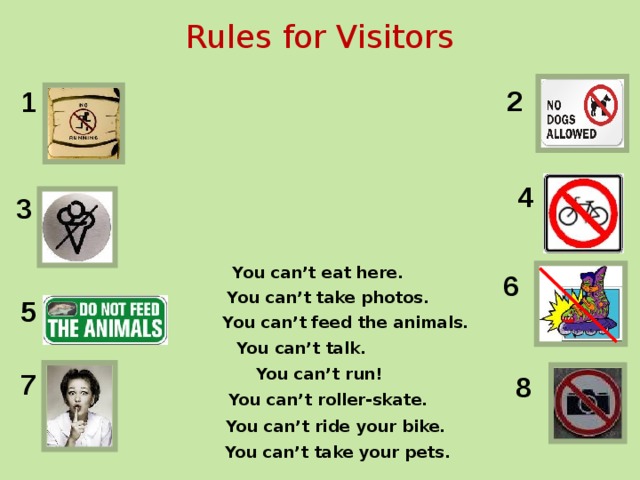 Rules for Visitors 2 1 4 3  You can’t eat here. 6  You can’t take photos. 5  You can’t feed the animals.  You can’t talk.  You can’t run! 7 8  You can’t roller-skate.  You can’t ride your bike.  You can’t take your pets. 