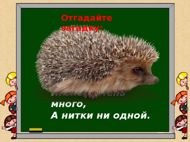 Отгадайте загадку: Сердитый недотрога  Живёт в глуши лесной.  Иголок очень много,  А нитки ни одной. 