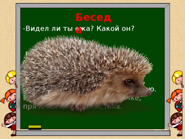 Беседа -Видел ли ты ежа? Какой он?  Весь в иголках, брюшко беленькое. Лапки короткие. Бегает быстро. А питается он насекомыми, грибами, ягодами, фруктами. Может поймать и змею. Ёж готовится к зимней спячке, прячется в сухих листьях. 