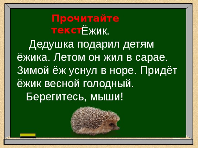 Прочитайте текст  Ёжик.  Дедушка подарил детям ёжика. Летом он жил в сарае.  Зимой ёж уснул в норе. Придёт ёжик весной голодный.  Берегитесь, мыши! 