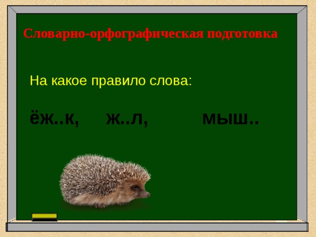 Словарно-орфографическая подготовка  На какое правило слова: ёж..к, ж..л, мыш.. 