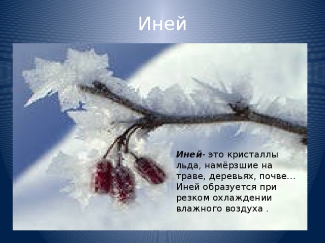 Иней Иней - это кристаллы льда, намёрзшие на траве, деревьях, почве… Иней образуется при резком охлаждении влажного воздуха . 
