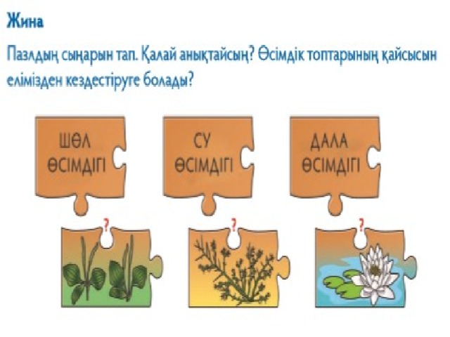 Әшекей интерьер элементі ретіндегі өсімдік 7 сынып