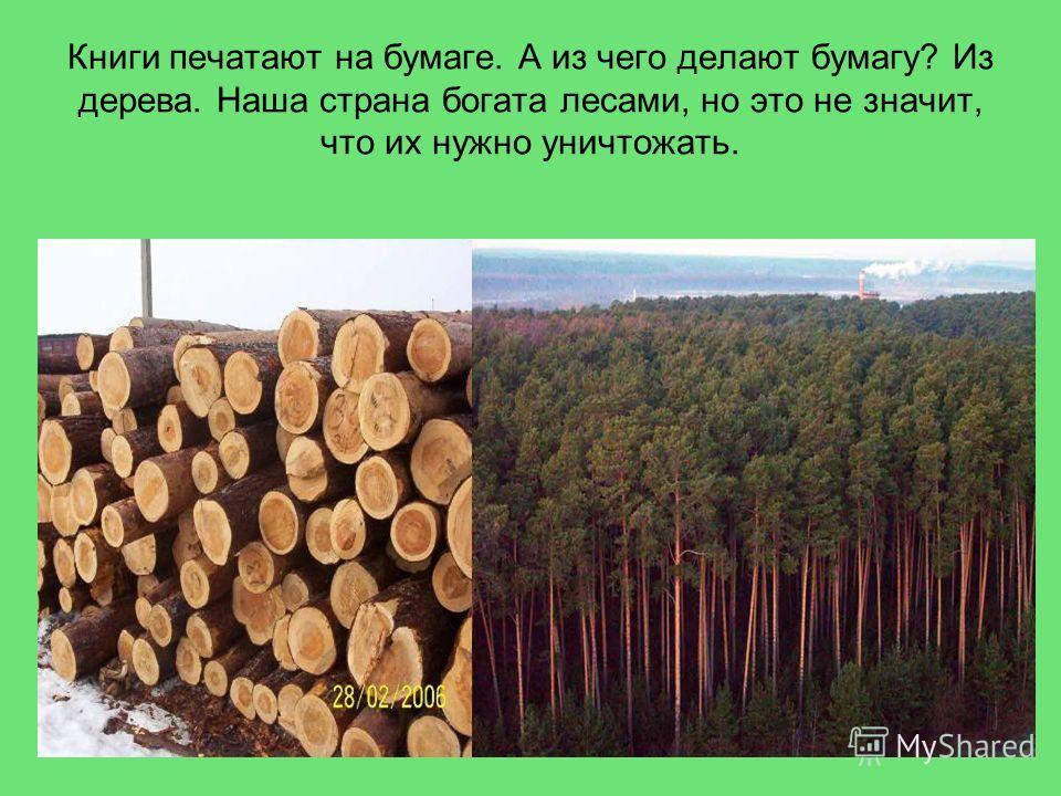 Из чего были. Дерево для производства бумаги. Бумагу изготавливают из древесины. Как делают бумагу. Древесина производство бумаги.