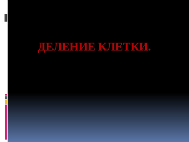   Деление клетки. 