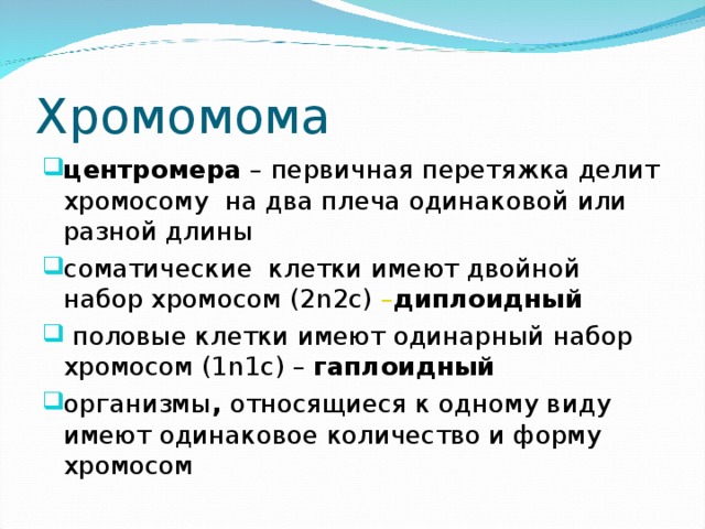 Хромомома центромера – первичная перетяжка делит хромосому на два плеча одинаковой или разной длины соматические клетки имеют двойной набор хромосом (2 n2c) – диплоидный  половые клетки имеют одинарный набор хромосом (1 n1c) – гаплоидный организмы , относящиеся к одному виду имеют одинаковое количество и форму хромосом 