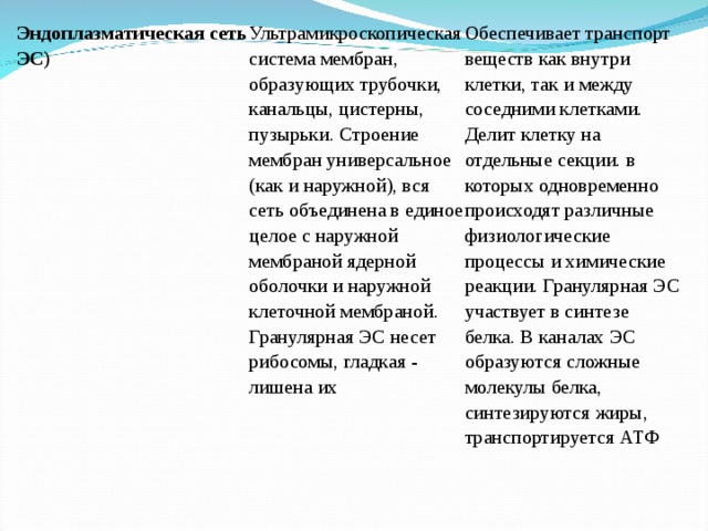 Эндоплазматическая сеть ЭС)  Ультрамикроскопическая система мембран, образующих трубочки, канальцы, цистерны, пузырьки. Строение мембран универсальное (как и наружной), вся сеть объединена в единое целое с наружной мембраной ядерной оболочки и наружной клеточной мембраной. Гранулярная ЭС несет рибосомы, гладкая - лишена их Обеспечивает транспорт веществ как внутри клетки, так и между соседними клетками. Делит клетку на отдельные секции. в которых одновременно происходят различные физиологические процессы и химические реакции. Гранулярная ЭС участвует в синтезе белка. В каналах ЭС образуются сложные молекулы белка, синтезируются жиры, транспортируется АТФ 