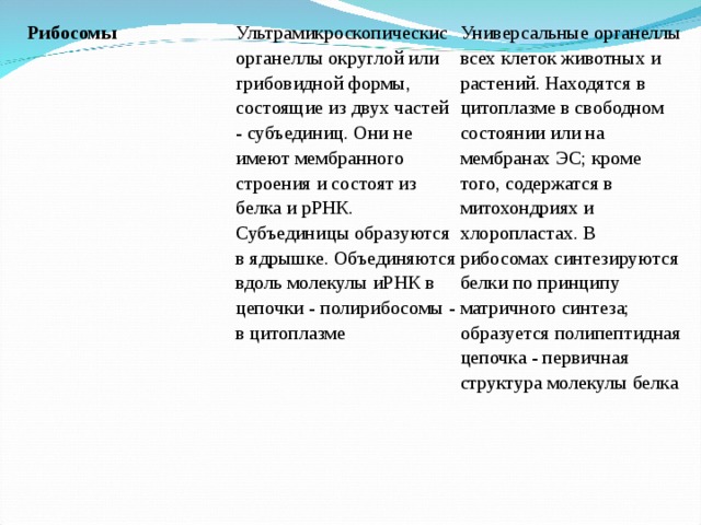 Рибосомы Ультрамикроскопическис органеллы округлой или грибовидной формы, состоящие из двух частeй - субъединиц. Они не имеют мембранного строения и состоят из белка и рРНК. Субъединицы образуются в ядрышке. Объединяются вдоль молекулы иРНК в цепочки - полирибосомы - в цитоплазме Универсальные органеллы всех клеток животных и растений. Находятся в цитоплазме в свободном состоянии или на мембранах ЭС; кроме того, содержатся в митохондриях и хлоропластах. В рибосомах синтезируются белки по принципу матричного синтеза; образуется полипептидная цепочка - первичная структура молекулы белка 