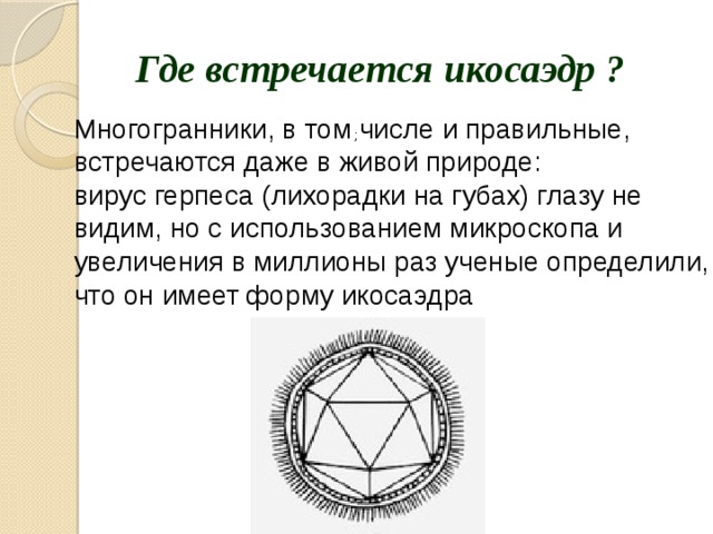 Где встречается икосаэдр ? Многогранники, в том числе и правильные, встречаются даже в живой природе:  вирус герпеса (лихорадки на губах) глазу не видим, но с использованием микроскопа и увеличения в миллионы раз ученые определили, что он имеет форму икосаэдра ;    