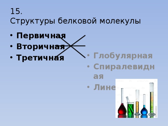 15.  Структуры белковой молекулы Первичная Вторичная Третичная Глобулярная Спиралевидная Линейная 