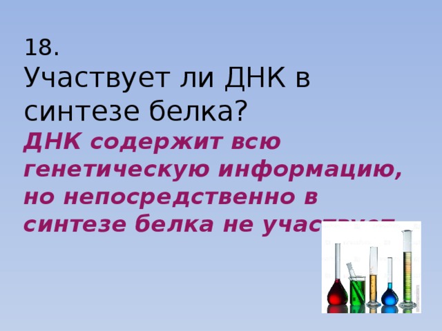 18.  Участвует ли ДНК в синтезе белка?  ДНК содержит всю генетическую информацию, но непосредственно в синтезе белка не участвует. 