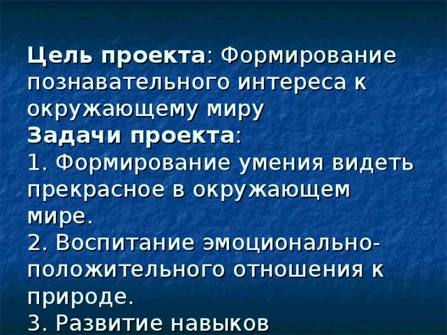 Наши проекты в мире детской поэзии 3 класс